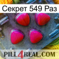 Секрет 549 Раз 13